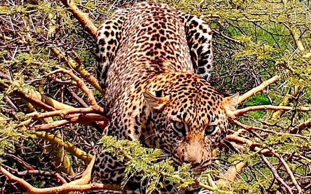 africa-e-oceano-indiano (11).jpg